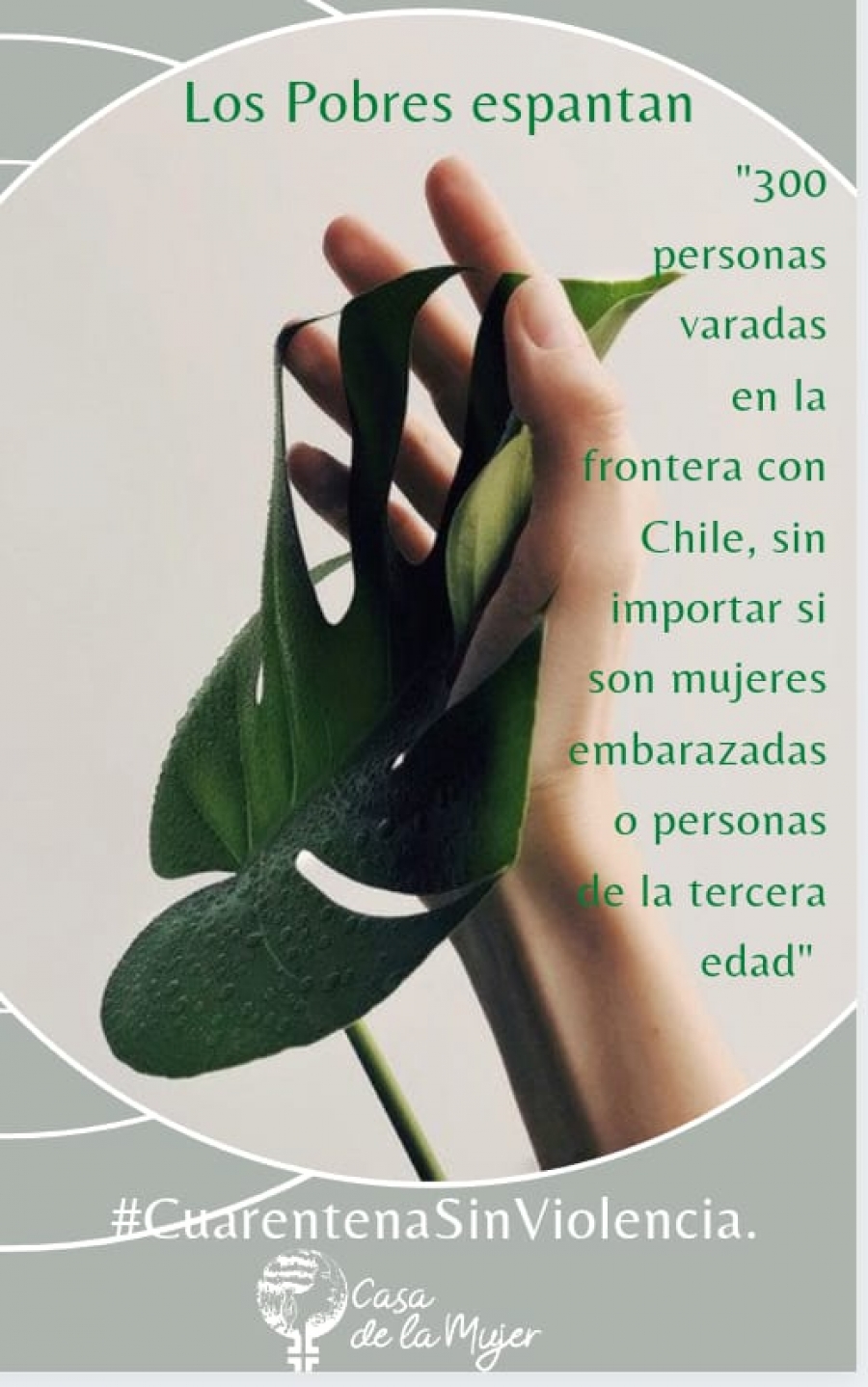 Placa con la fotografía de una mano sosteniendo una hoja verde grande. El texto dice «Los pobres espantan» y cita: «300 personas varadas en la frontera con Chile, sin importar si son mujeres embarazadas o personas de la tercera edad». Abajo, la etiqueta #CuarentenaSinViolencia y el logo de Casa de la Mujer.