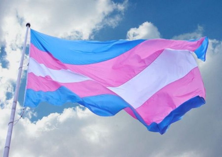 La bandera trans —franjas celestes, rosas y blanca— ondeando en un mástil contra un cielo azul con nubes.